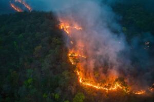 NJ wildfire